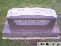 Raymond A Freyling