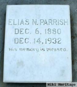 Elias Newton Parrish