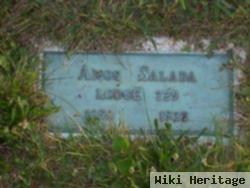 Amos Sallada