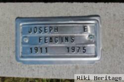 Joseph E Feagins