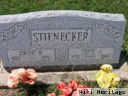 Edgar W Stienecker