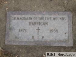 Sr Magdalen Of The Five Wounds Harrigan