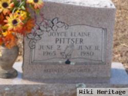 Joyce Elaine Pittser