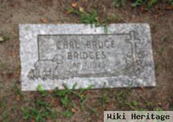 Carl Bruce Bridges