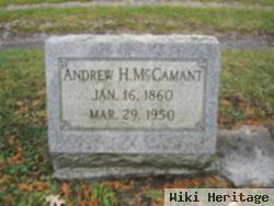 Andrew H Mccamant