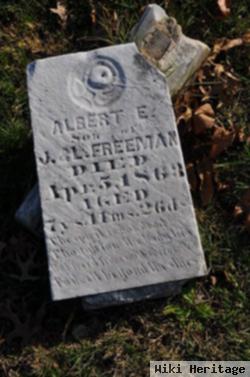 Albert E Freeman