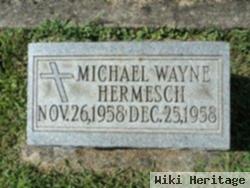 Michael Wayne Hermesch