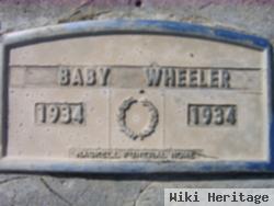 Baby Wheeler