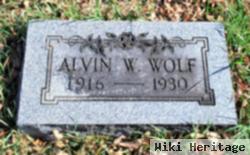 Alvin William Wolf