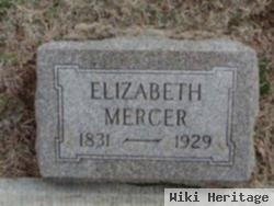 Sarah Elizabeth Roberts Mercer