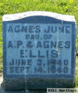 Agnes June Ellis