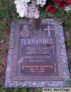 Guadalupe Madero Fernandez