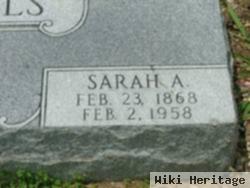 Sarah Ann Towe Nickels