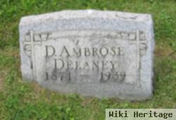 David Ambrose Delaney