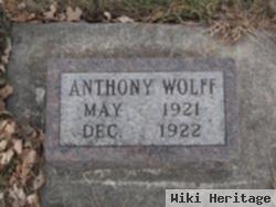 Anthony Peter Wolff