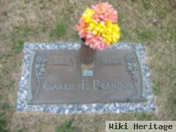 Carrie E. Brandon