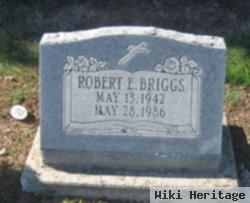 Robert Eugene Briggs