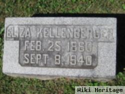 Eliza Ann Zarfoss Kellenberger