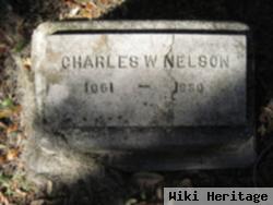 Charles W Nelson