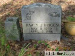 Karen J Briggs