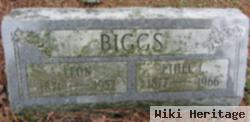 Ethel L. Ervin Biggs