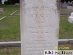 Andrew Jackson Wise