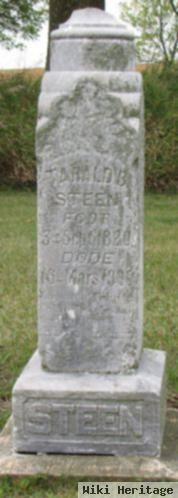 Tarald P. Steen