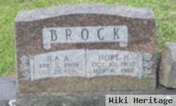 Hortis H "hoyt" Brock