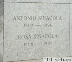 Rosa Sinacola