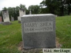 Mary Shea