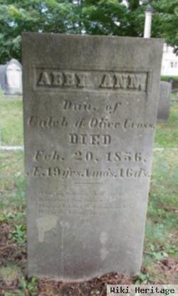 Abby Ann Cross