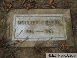 Moultrie Franklin Wrenn