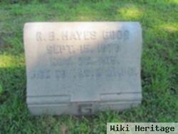 R. B. Hayes Good