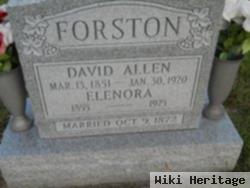 Elenora Forston