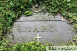 Elie A. Bica