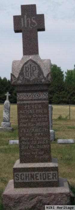 Peter Schneider