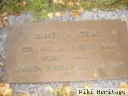 James A Gray