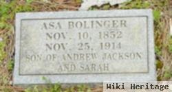 Asa Newport Bolinger