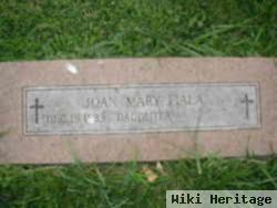 Joan Mary Fiala