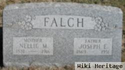 Nellie M Cady Falch