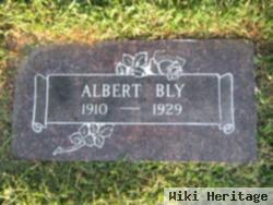 Albert Bay Bly