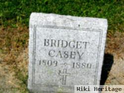 Bridget Casey