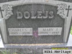 Mary J Dolejs