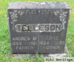 Anne Anderson Telleson