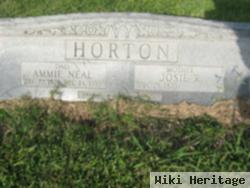 Josie Rhodes Horton