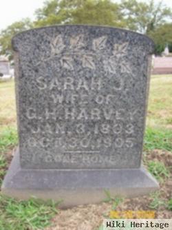 Sarah J. Harvey