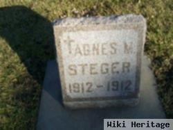 Agnes M Steger