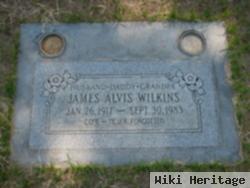 James Alvis Wilkins