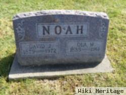 David J Noah