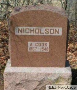 Alexander Cook Nicholson